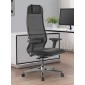 Scaun de birou ergonomic Ergolife Syncro 10 Comfort